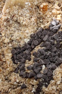 Barres de céréales au muesli, abricots et chocolat