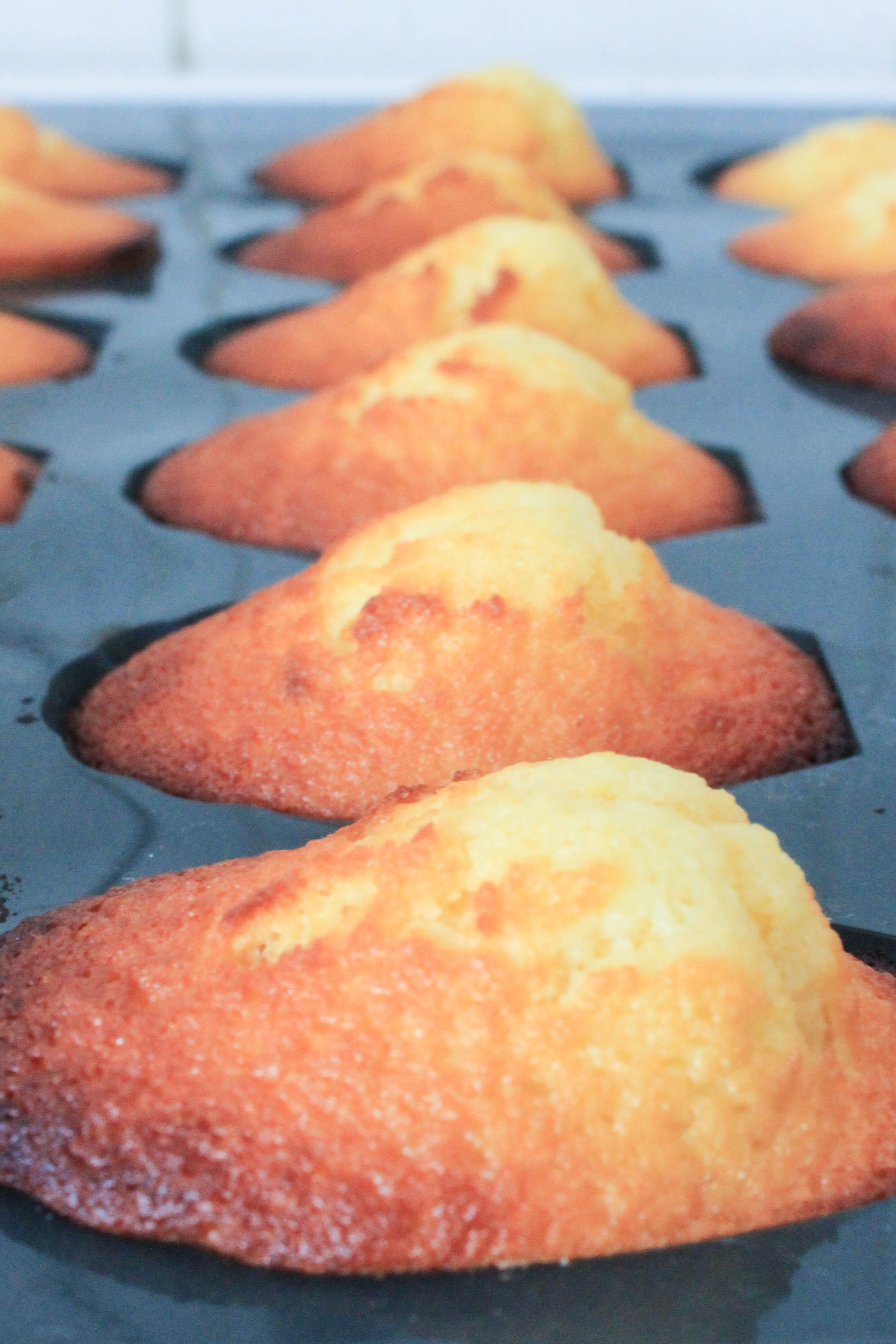 Madeleines