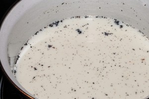 Petit pots de crème à la vanille