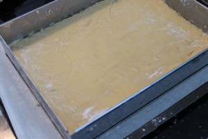 Carrés citron noix de coco