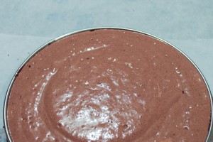 Fantastik 100% chocolat Christophe Michalak