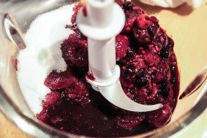 Charlottesindividuelles aux fruits rouges