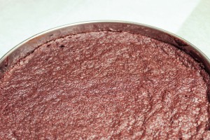 Fantastik 100% chocolat Christophe Michalak