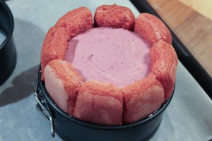 Charlottesindividuelles aux fruits rouges